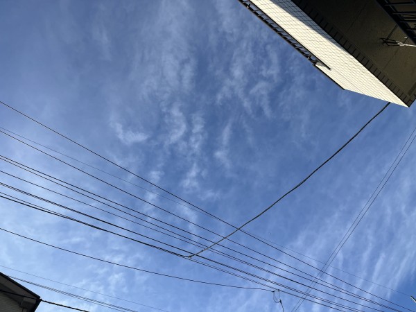 今年は晴れ続きサムネイル